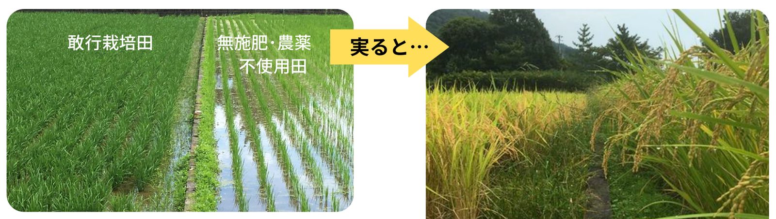 PROWATER - 株式会社エコプラス